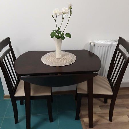 Sara House Apartman Bistriţa Kültér fotó