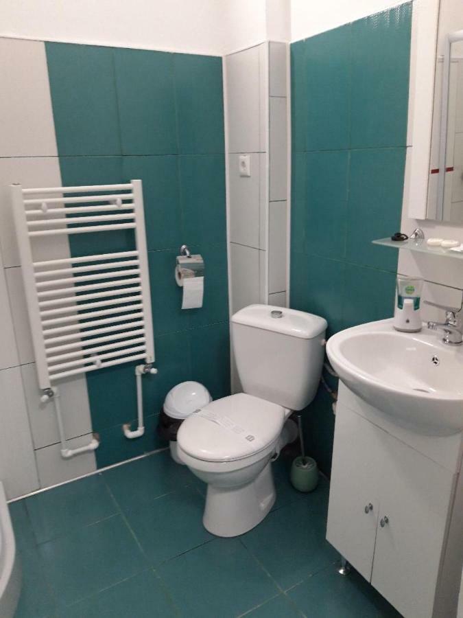 Sara House Apartman Bistriţa Kültér fotó