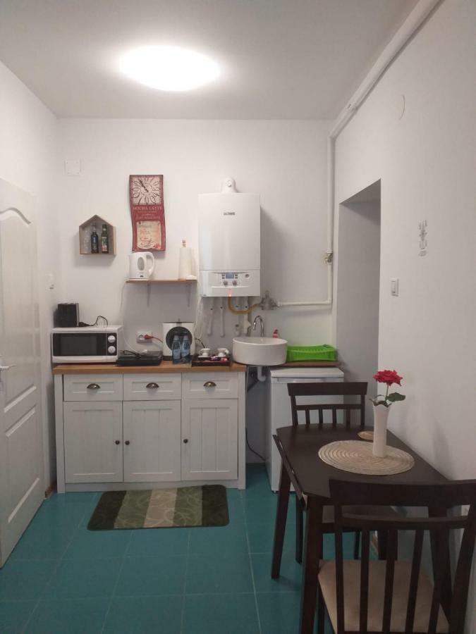 Sara House Apartman Bistriţa Kültér fotó
